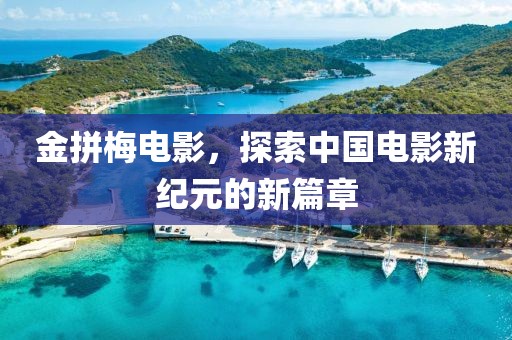 金拼梅電影，探索中國(guó)電影新紀(jì)元的新篇章