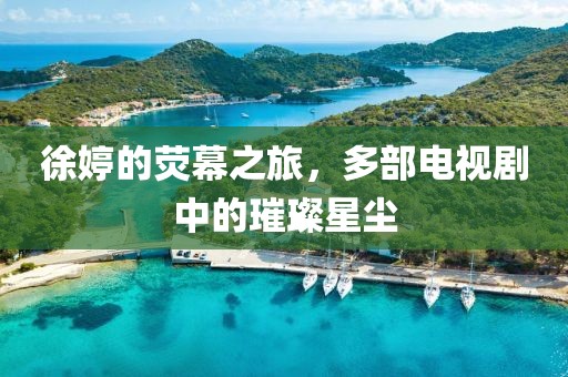 徐婷的熒幕之旅，多部電視劇中的璀璨星塵