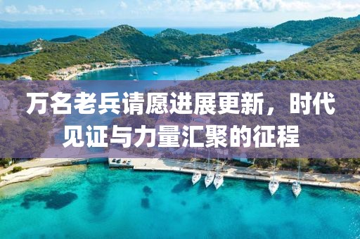 萬名老兵請?jiān)高M(jìn)展更新，時代見證與力量匯聚的征程