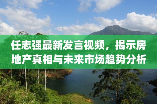 任志強最新發(fā)言視頻，揭示房地產(chǎn)真相與未來市場趨勢分析