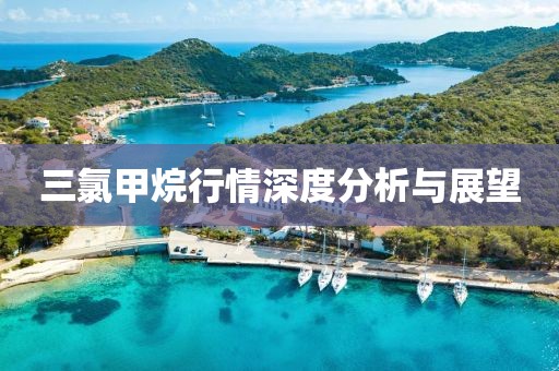 三氯甲烷行情深度分析與展望