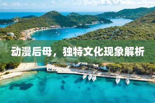 動漫后母，獨特文化現(xiàn)象解析