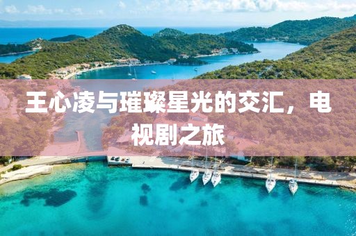 王心凌與璀璨星光的交匯，電視劇之旅