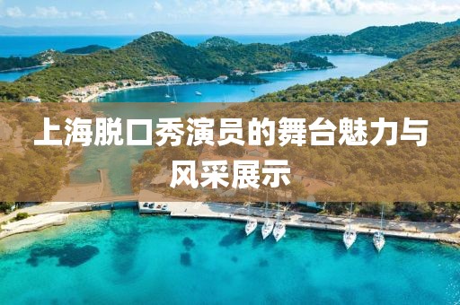 上海脫口秀演員的舞臺魅力與風采展示