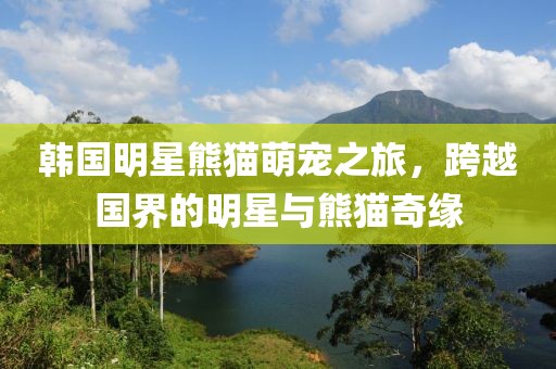韓國(guó)明星熊貓萌寵之旅，跨越國(guó)界的明星與熊貓奇緣