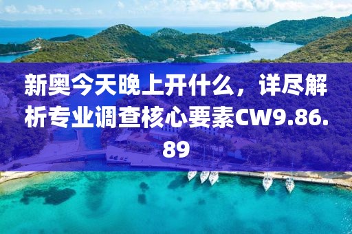 新奧今天晚上開什么，詳盡解析專業(yè)調(diào)查核心要素CW9.86.89