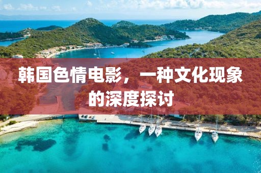 韓國色情電影，一種文化現(xiàn)象的深度探討