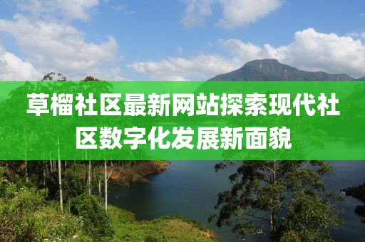 好菇?jīng)?第4頁