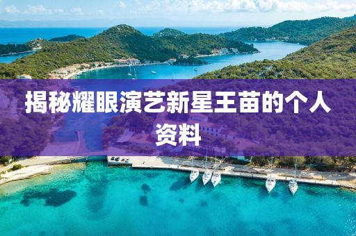 云煙 第4頁