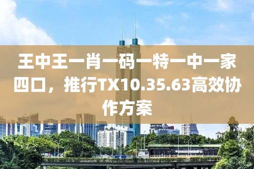 王中王一肖一碼一特一中一家四口，推行TX10.35.63高效協(xié)作方案