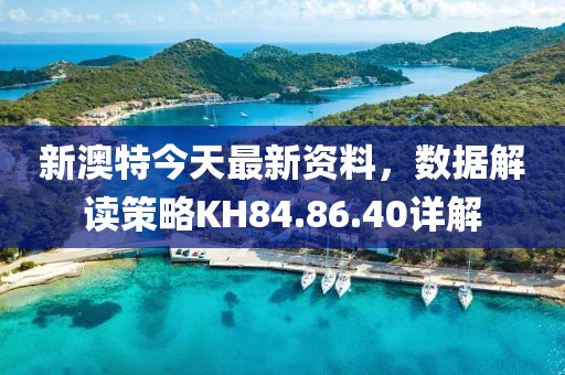 新澳特今天最新資料，數(shù)據(jù)解讀策略KH84.86.40詳解
