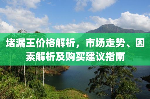 堵漏王價格解析，市場走勢、因素解析及購買建議指南