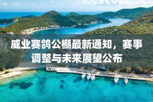 威業(yè)賽鴿公棚最新通知，賽事調(diào)整與未來展望公布