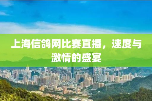 上海信鴿網(wǎng)比賽直播，速度與激情的盛宴