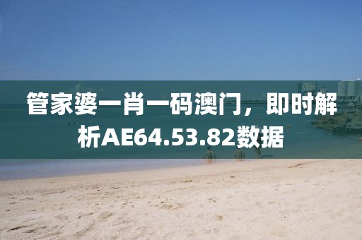 管家婆一肖一碼澳門(mén)，即時(shí)解析AE64.53.82數(shù)據(jù)