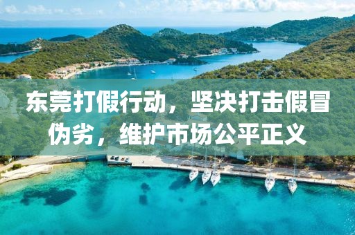 東莞打假行動(dòng)，堅(jiān)決打擊假冒偽劣，維護(hù)市場(chǎng)公平正義