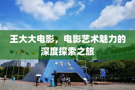 王大大電影，電影藝術(shù)魅力的深度探索之旅