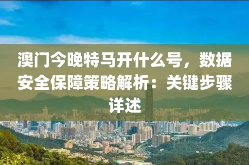 澳門今晚特馬開什么號(hào)，數(shù)據(jù)安全保障策略解析：關(guān)鍵步驟詳述