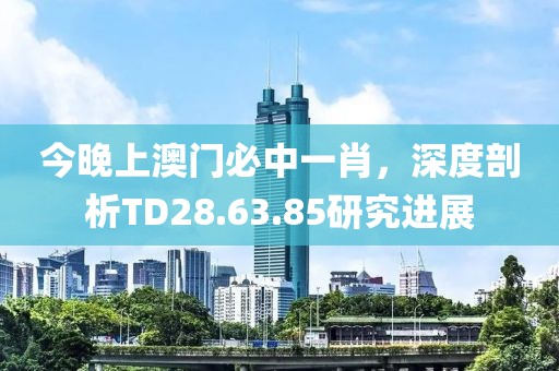 今晚上澳門必中一肖，深度剖析TD28.63.85研究進(jìn)展