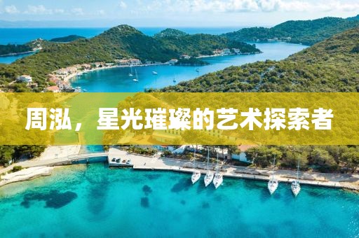 周泓，星光璀璨的藝術(shù)探索者