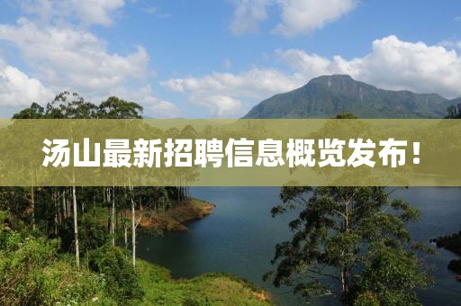 湯山最新招聘信息概覽發(fā)布！