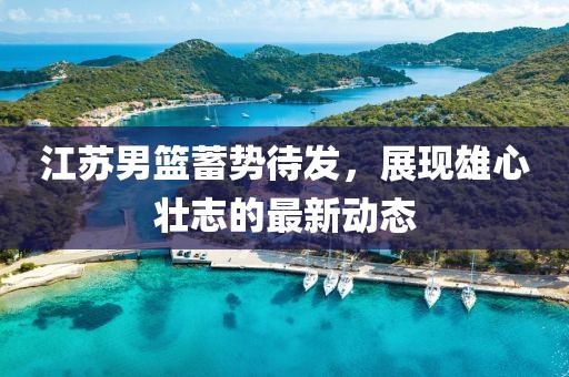 江蘇男籃蓄勢待發(fā)，展現(xiàn)雄心壯志的最新動態(tài)