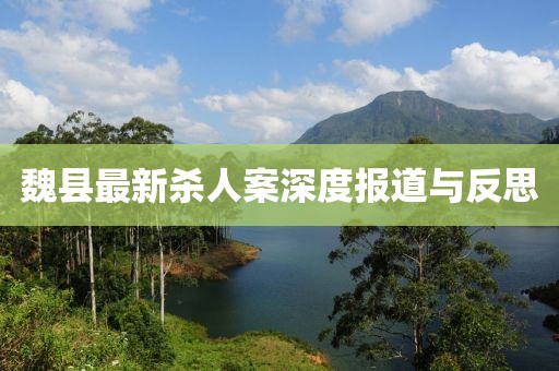 魏縣最新殺人案深度報(bào)道與反思