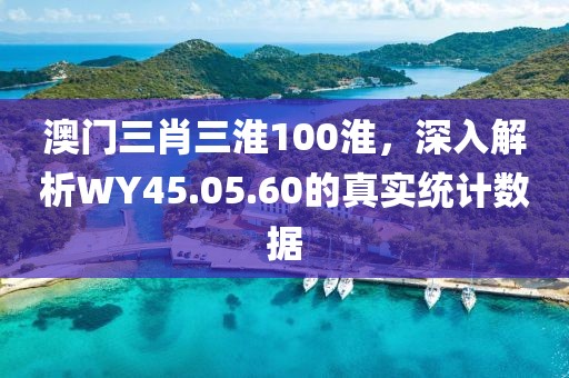 澳門三肖三淮100淮，深入解析WY45.05.60的真實(shí)統(tǒng)計(jì)數(shù)據(jù)