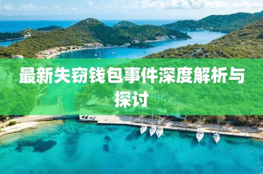 最新失竊錢(qián)包事件深度解析與探討