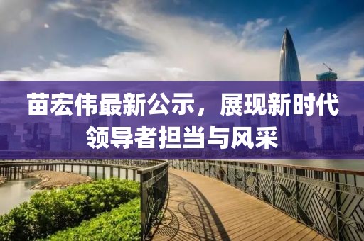 苗宏偉最新公示，展現(xiàn)新時(shí)代領(lǐng)導(dǎo)者擔(dān)當(dāng)與風(fēng)采