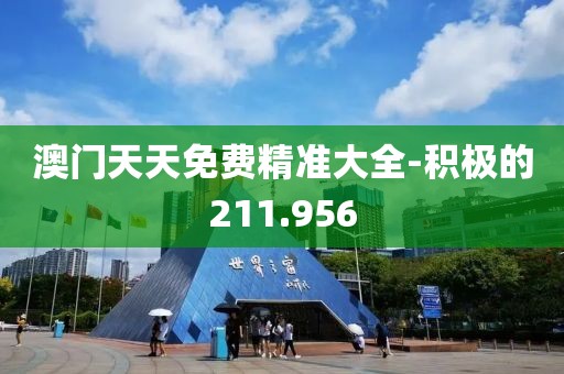 澳門天天免費精準大全-積極的211.956