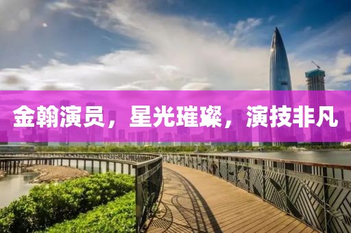金翰演員，星光璀璨，演技非凡