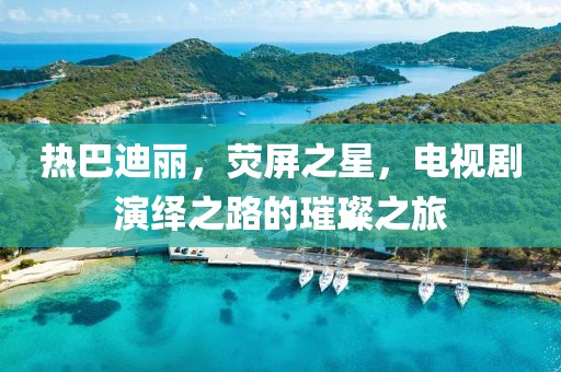 熱巴迪麗，熒屏之星，電視劇演繹之路的璀璨之旅