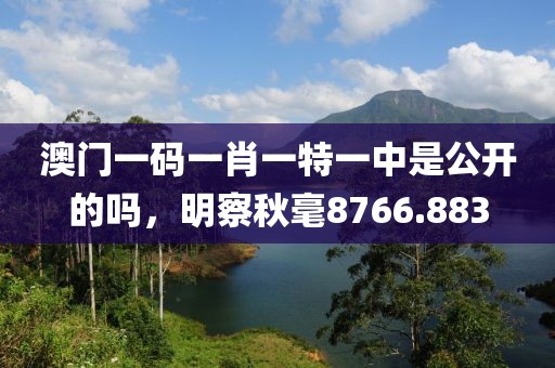 澳門一碼一肖一特一中是公開的嗎，明察秋毫8766.883