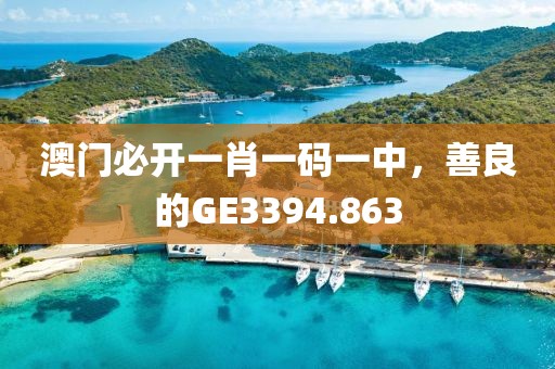 澳門必開一肖一碼一中，善良的GE3394.863