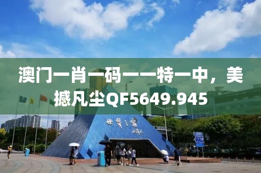 澳門一肖一碼一一特一中，美撼凡塵QF5649.945