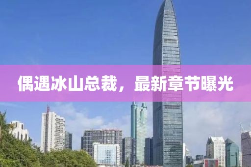偶遇冰山總裁，最新章節(jié)曝光