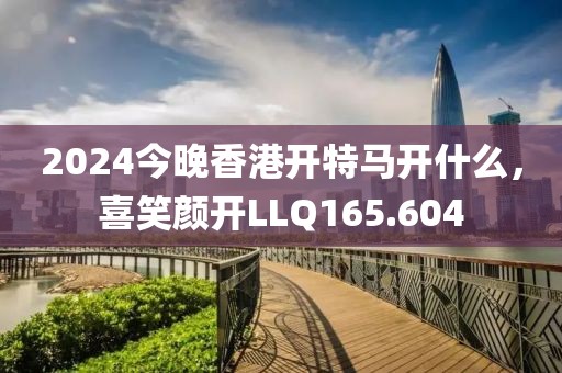 2024年12月 第41頁