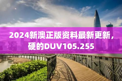 2024新澳正版資料最新更新，硬的DUV105.255
