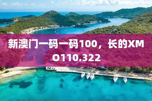 新澳門一碼一碼100，長的XMO110.322