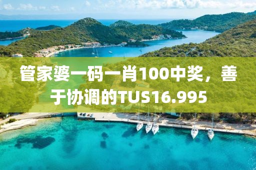 管家婆一碼一肖100中獎，善于協(xié)調(diào)的TUS16.995