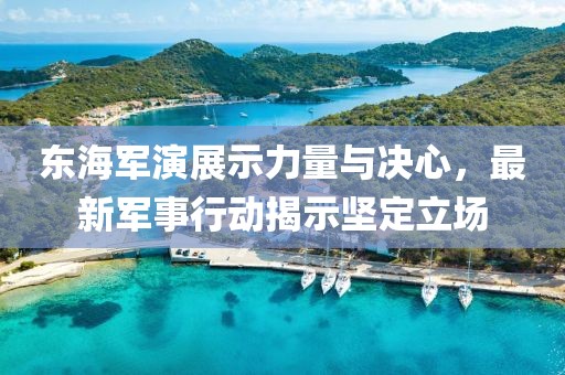 東海軍演展示力量與決心，最新軍事行動(dòng)揭示堅(jiān)定立場(chǎng)