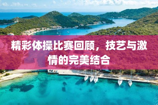 精彩體操比賽回顧，技藝與激情的完美結(jié)合