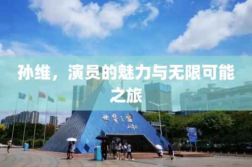 孫維，演員的魅力與無(wú)限可能之旅