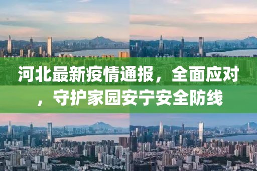 河北最新疫情通報(bào)，全面應(yīng)對(duì)，守護(hù)家園安寧安全防線(xiàn)