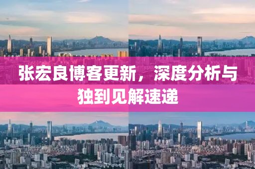 張宏良博客更新，深度分析與獨到見解速遞