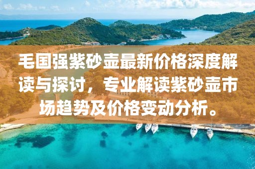 毛國強紫砂壺最新價格深度解讀與探討，專業(yè)解讀紫砂壺市場趨勢及價格變動分析。