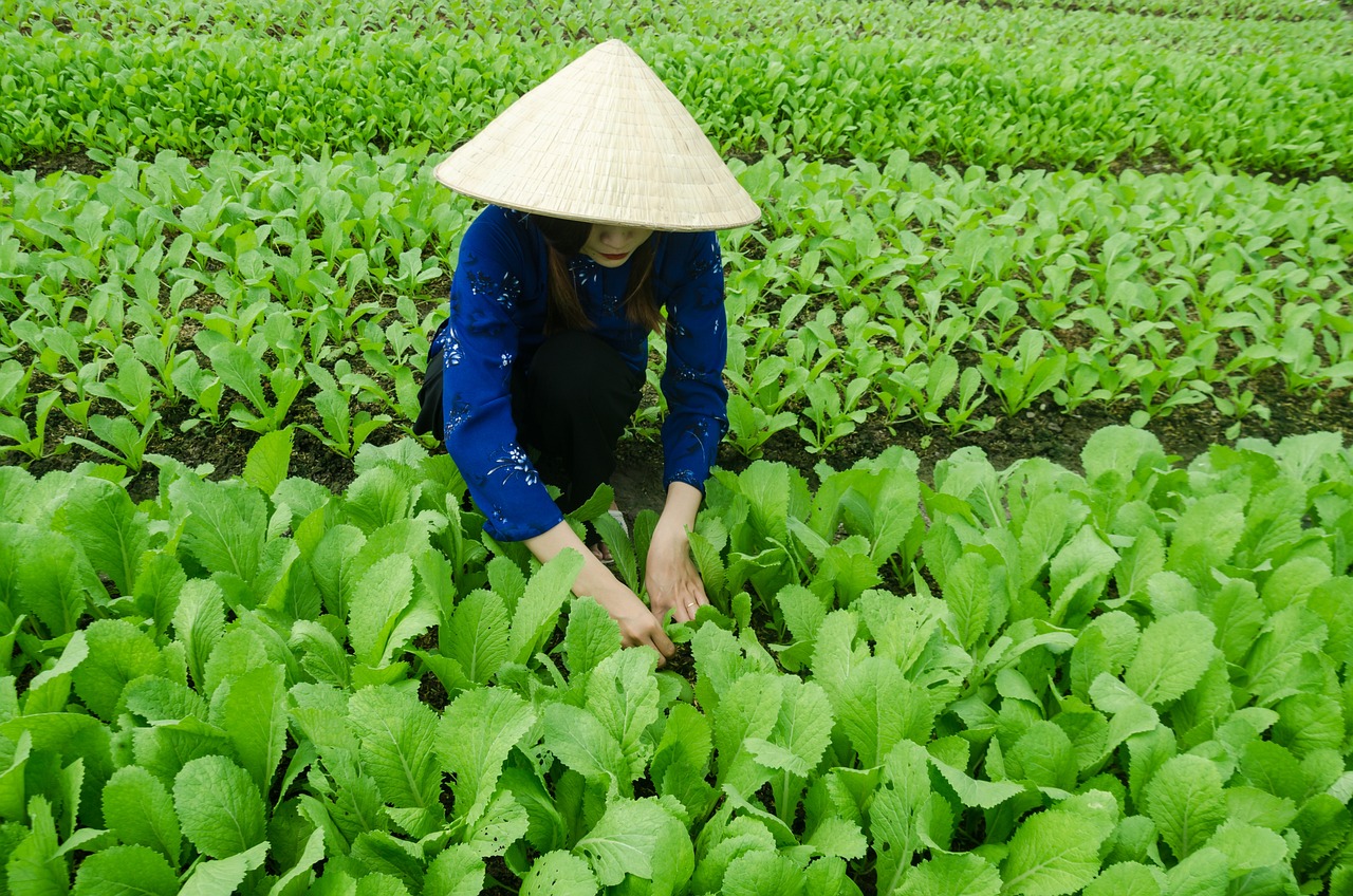 河源監(jiān)獄，改革、創(chuàng)新與發(fā)展最新動(dòng)態(tài)揭秘