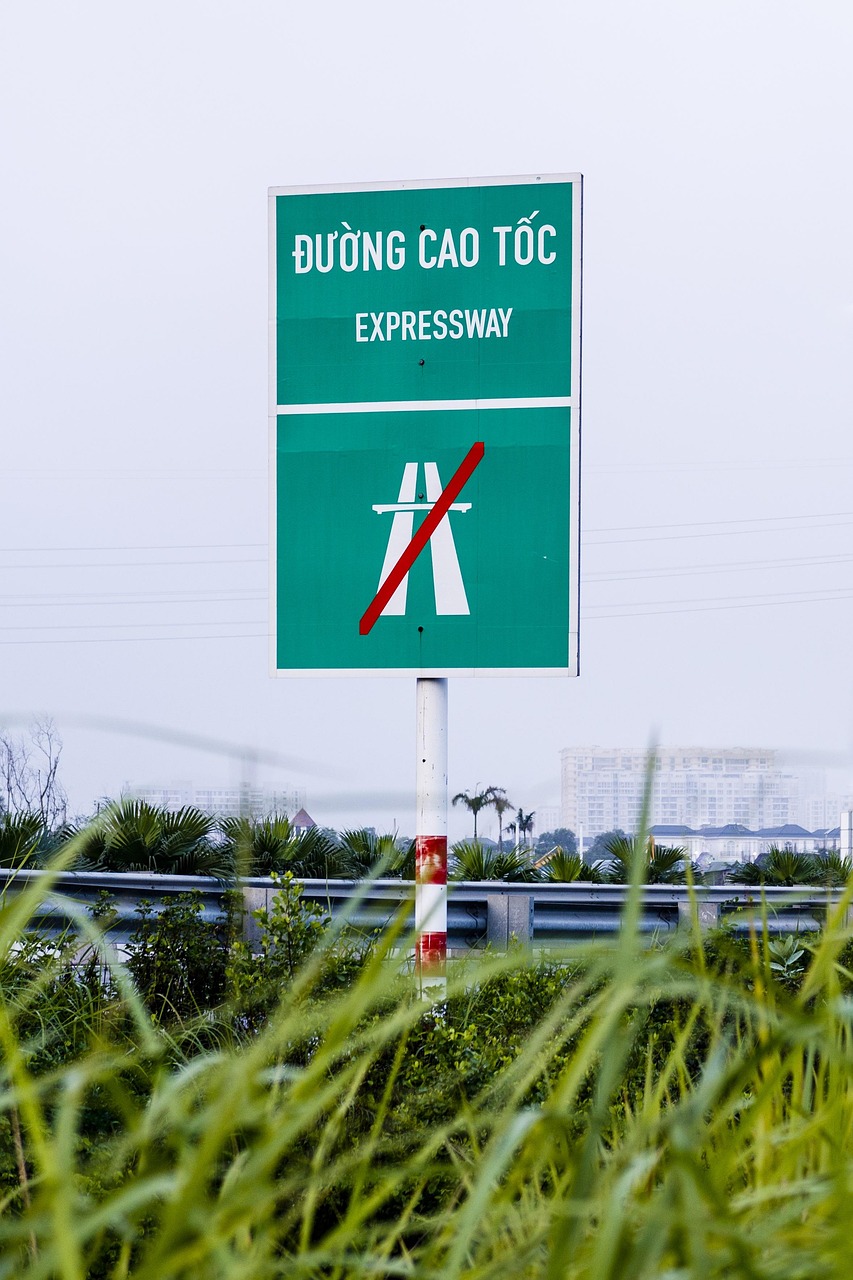 無(wú)為市資訊速遞，城市動(dòng)態(tài)與經(jīng)濟(jì)文化發(fā)展概覽