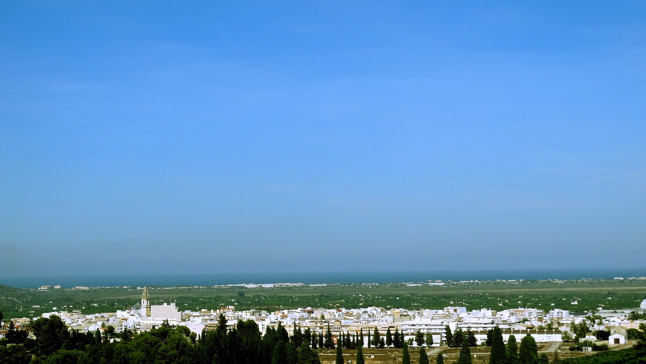 莘莊動態(tài)資訊，揭示城市發(fā)展的脈搏，掌握最新資訊動態(tài)。